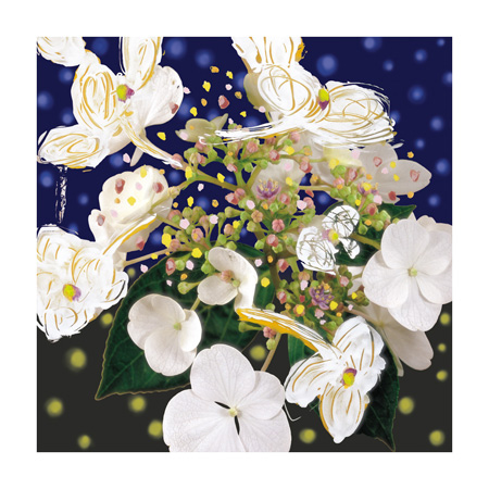 風の時