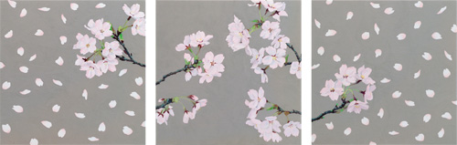 花眼、桜