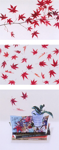 紅葉に山茶花、移ろふ時
