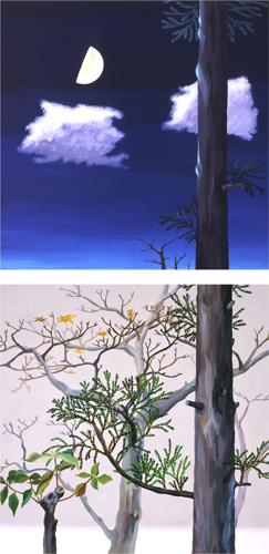 晩秋、上弦の月と雲